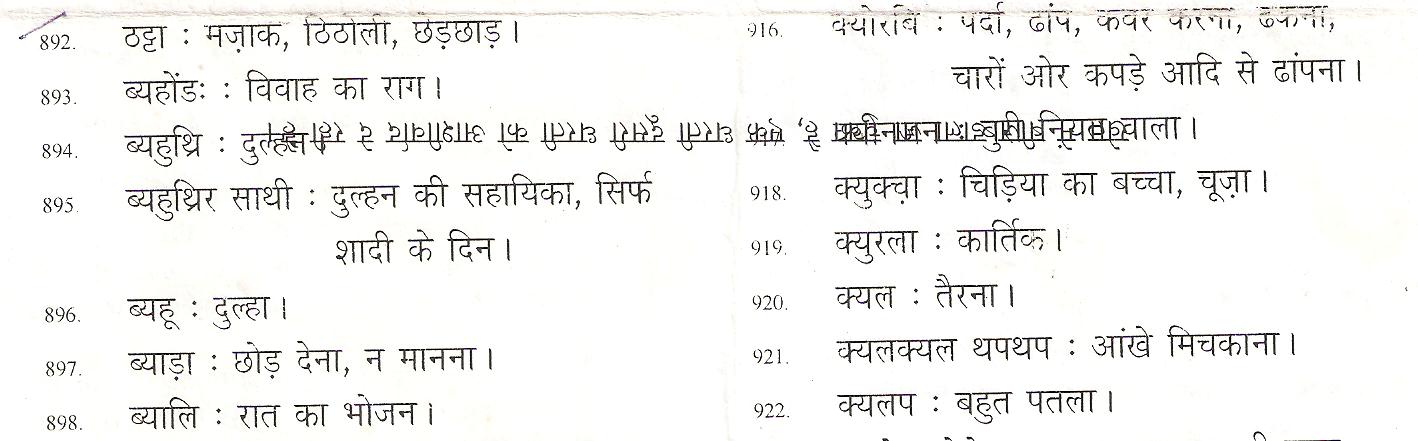 चिनलभाशे: अस्तित्व के लिए संघर्ष lahaul spiti